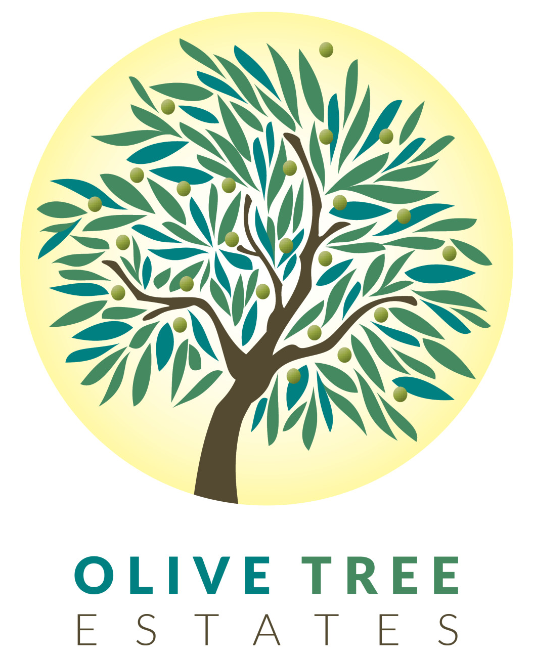 OLIVE TREE